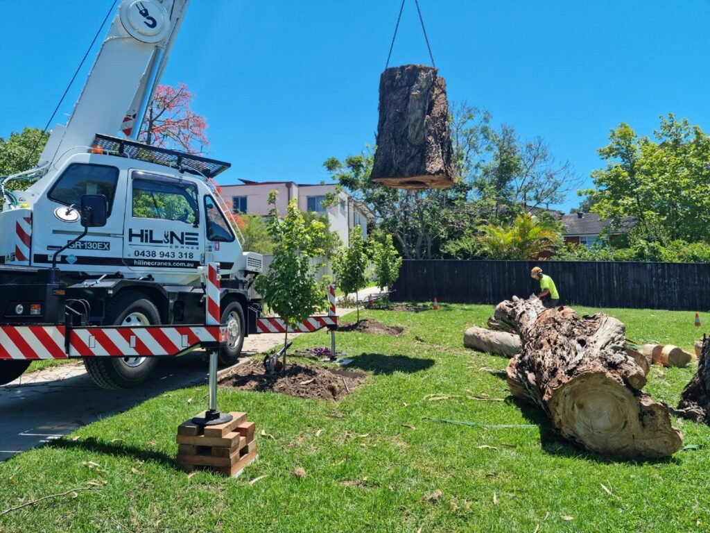 Tree removal contractor insurance